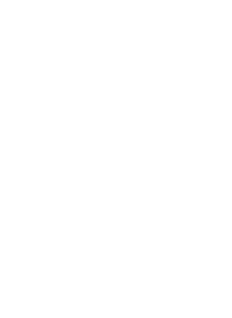 Raphael Silicani, Advogado
